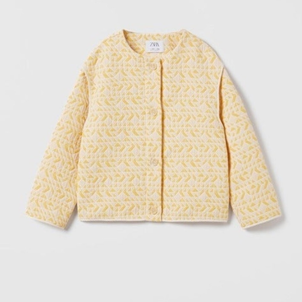 ZARA Jacquard Jacket